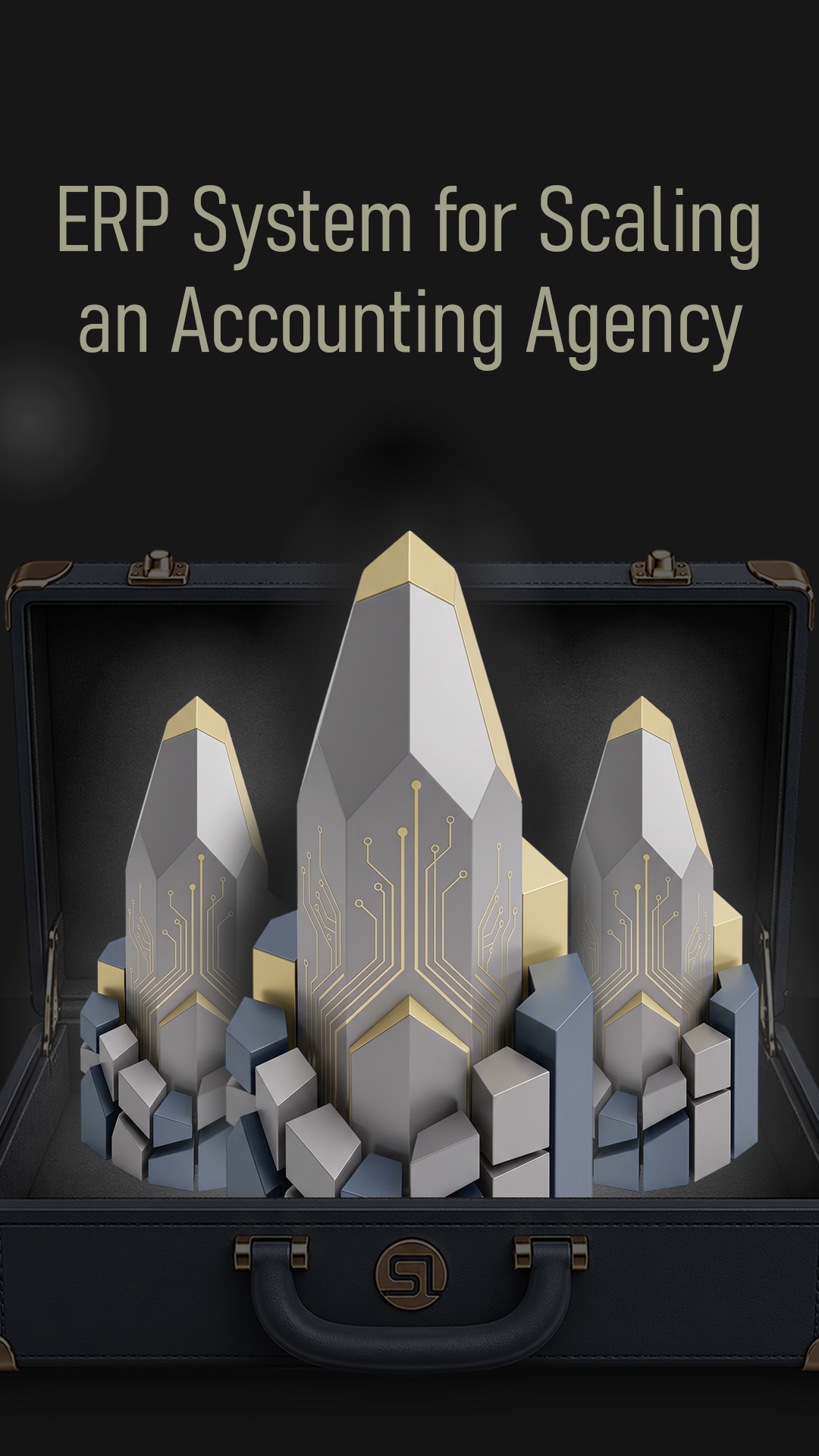 ERP System for Scaling an Accounting Agency